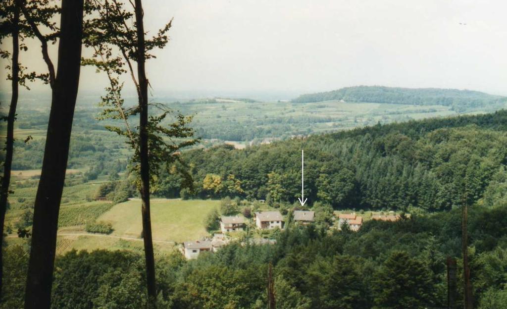 Ferienwohnung Unterschuetz Ettenheim Bagian luar foto